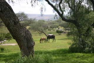  Paesaggi a cavallo 